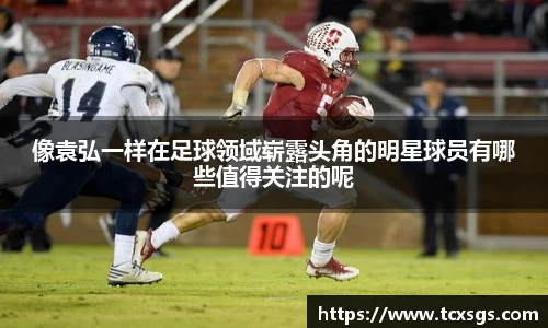 像袁弘一样在足球领域崭露头角的明星球员有哪些值得关注的呢